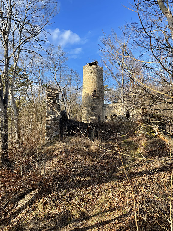 Burgruine Schauenforst